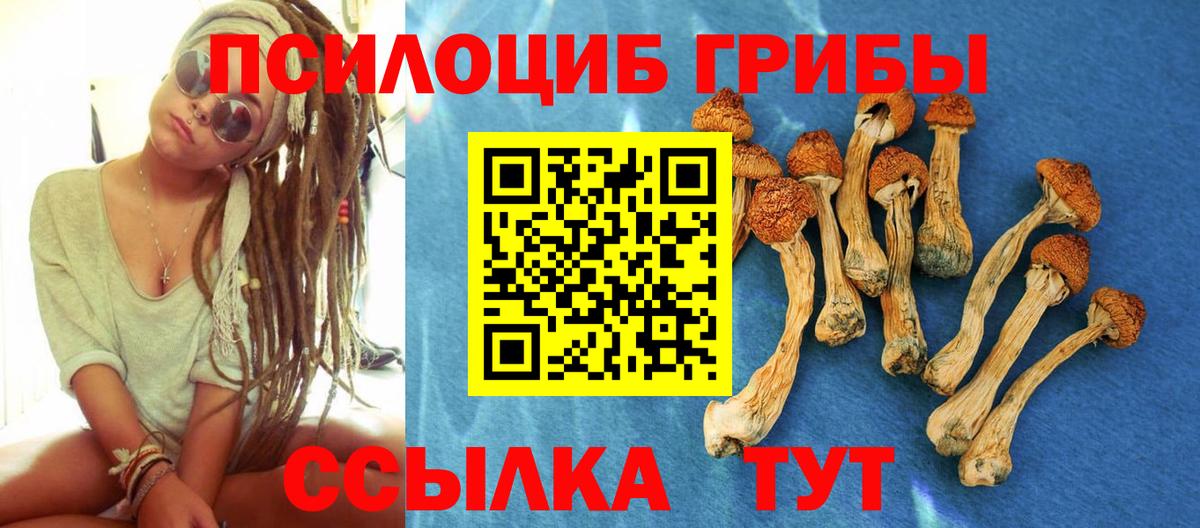 Красный Сулин  Галлюциногенные грибы прущие грибы  где можно купить наркотик  Вход с VPN 