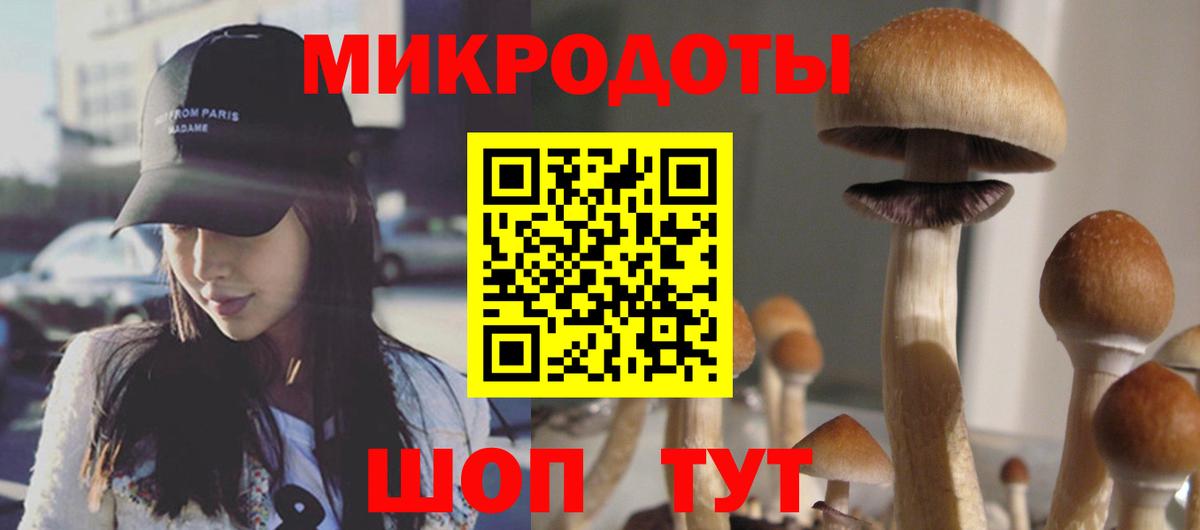 Псилоцибиновые грибы Magic Shrooms Красный Сулин